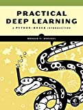 Practical Deep Learning: A Python-Based Introduction